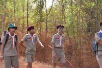 ScoutCamp2562_562