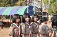 ScoutCamp2562_690